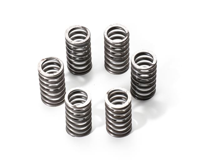 Clutch Spring Set - Ducati Dry Clutch Common 91 Onwards