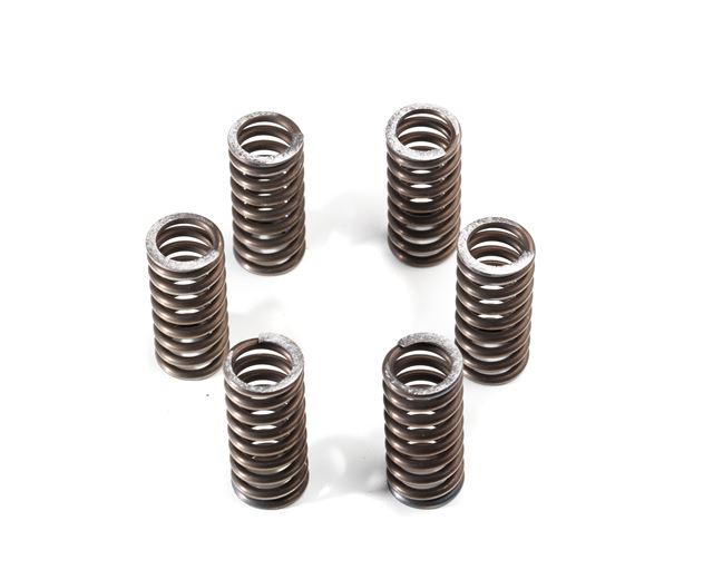 Clutch Spring Set - Pantah 